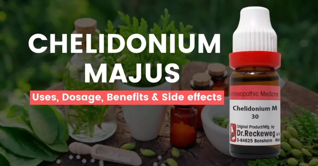 Chelidonium Majus 30, 200, 3X, 6X, Q Uses, Benefits Side Effects