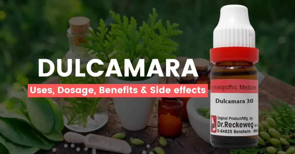 Dulcamara 30, 200, 1M Uses, Benefits, Dosage Side Effects