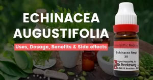 Echinacea Augustifolia 30, 200, 1M Uses, Benefits & Side Effects