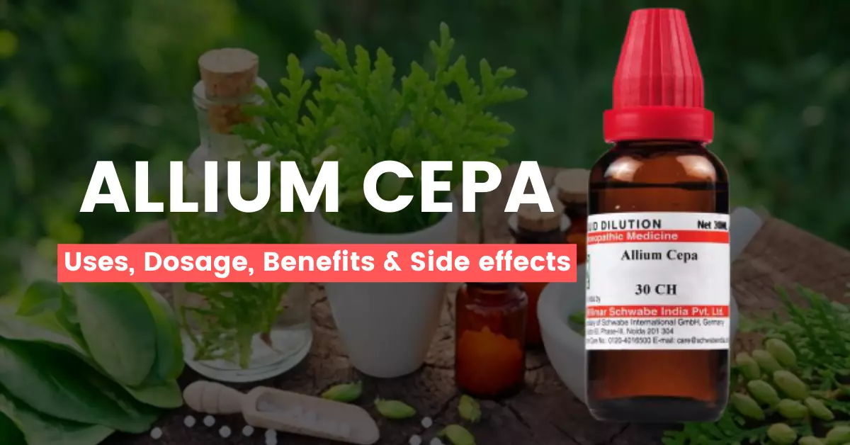 Allium Cepa 30, 200, 1M Uses, Benefits, Dosage and Side Effects