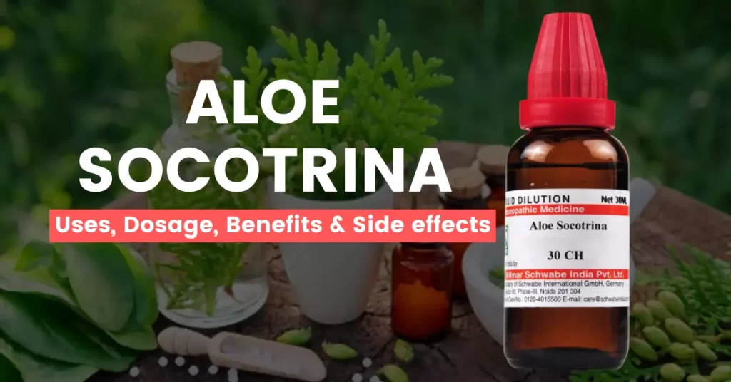 Aloe Socotrina 30, 200, 1M Uses, Benefits, Dosage and Side Effects