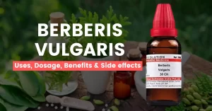 Berberis Vulgaris 30, 200, 1M Uses, Benefits & Side Effects