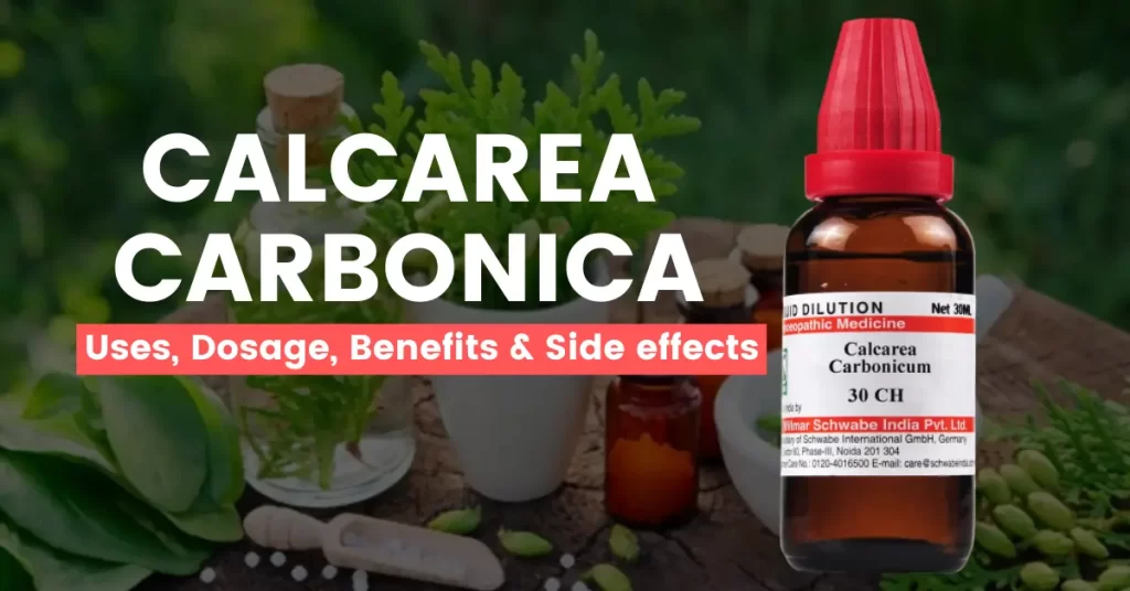 Calcarea Carbonica 30, 200, 1M Uses, Benefits, Dosage and Side Effects