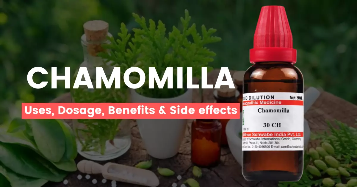 Chamomilla 30, 200, 1M Uses, Benefits, Dosage and Side Effects