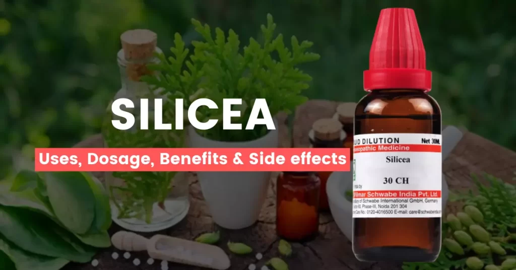 Silicea 30, 200, 1M Uses, Benefits, Dosage and Side Effects