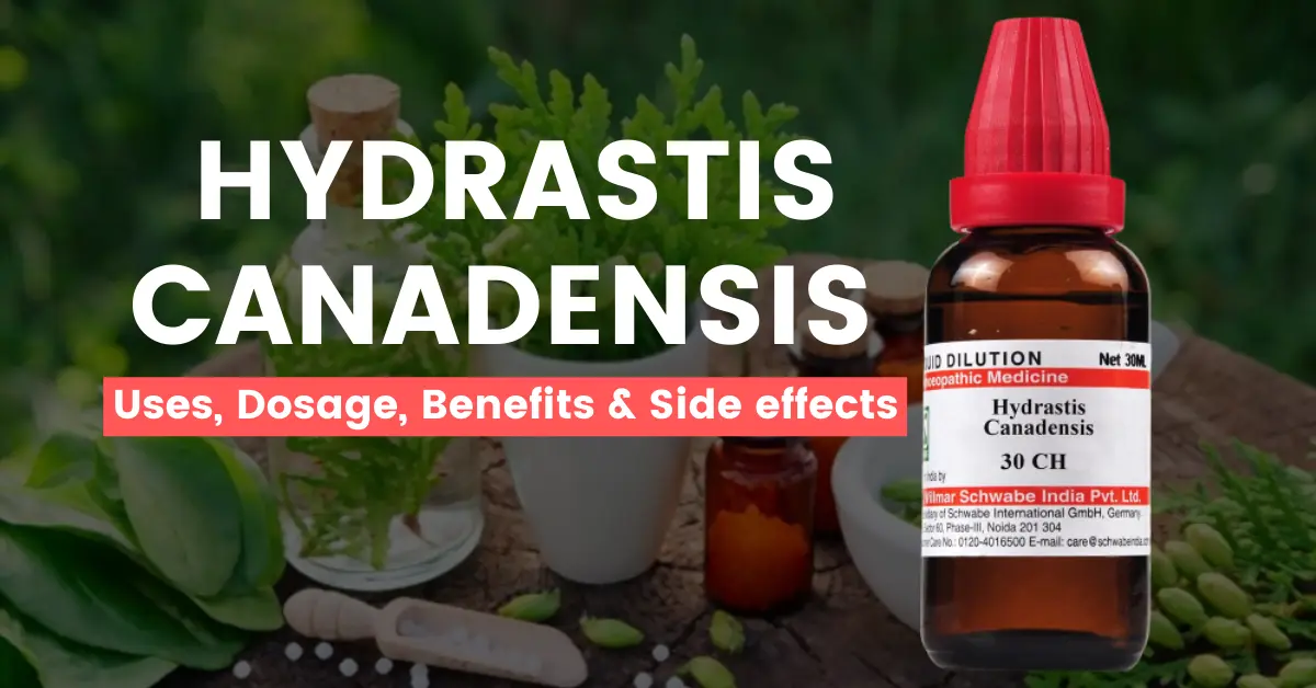 Hydrastis Canadensis 30, 200, 1M Uses, Benefits, Dosage and Side Effects