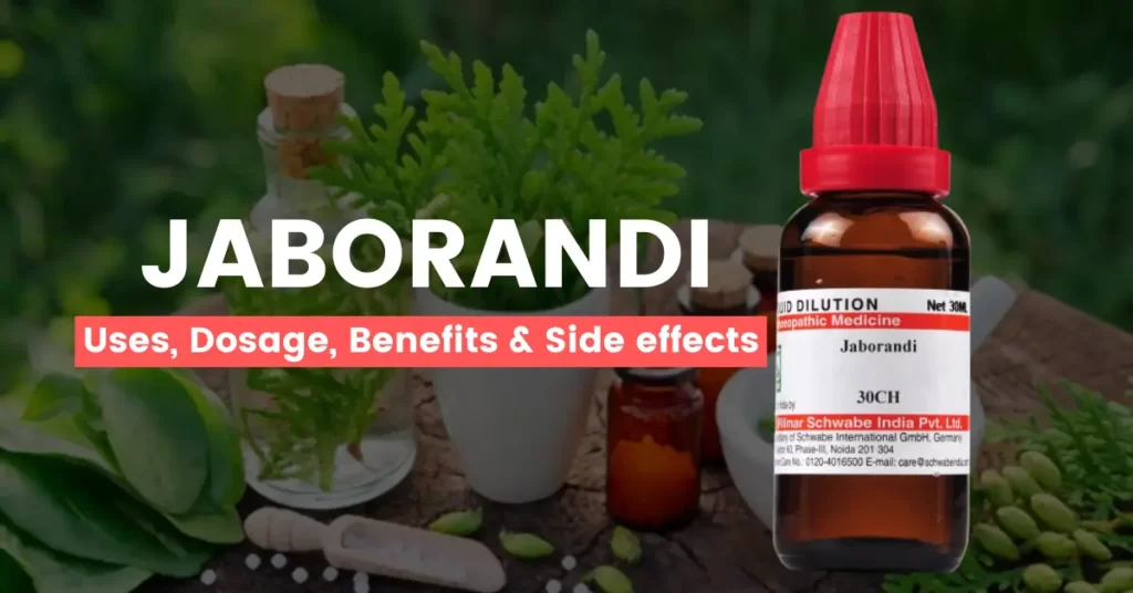 Jaborandi 30, 200, 1M- Best Uses, Benefits and Side Effects