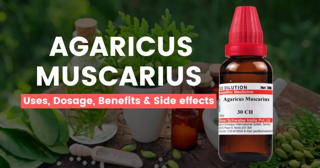 Agaricus Muscarius 30, 200, 1M - Uses, Benefits and Side Effects