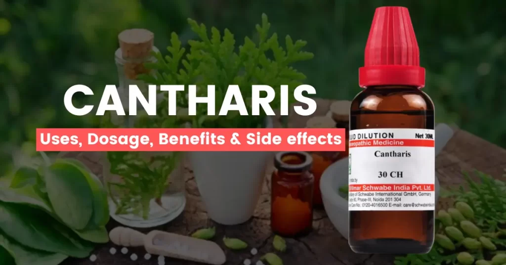 Cantharis, 30, 200, 1M, mother tincture - Uses and Side Effects