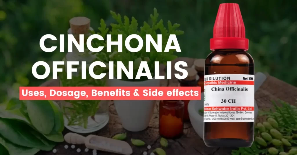 Cinchona Officinalis Q, 30, 200, 1M - Uses and Side Effects