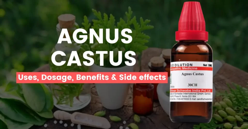 Agnus Castus 30, 200, 1M, Q - Uses, Benefits and Side Effects