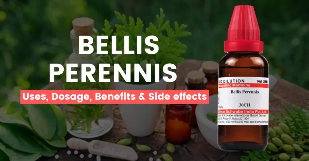 Bellis Perennis 30, 200, 1M - Uses, Benefits and Side Effects