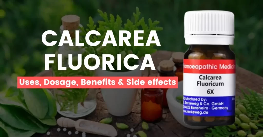 Calcarea Fluorica 6X, 3X, 30 - Uses, Benefits and Side Effects