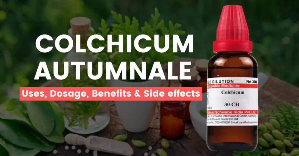 Colchicum Autumnale 30, 200 - Uses, Benefits and Side Effects