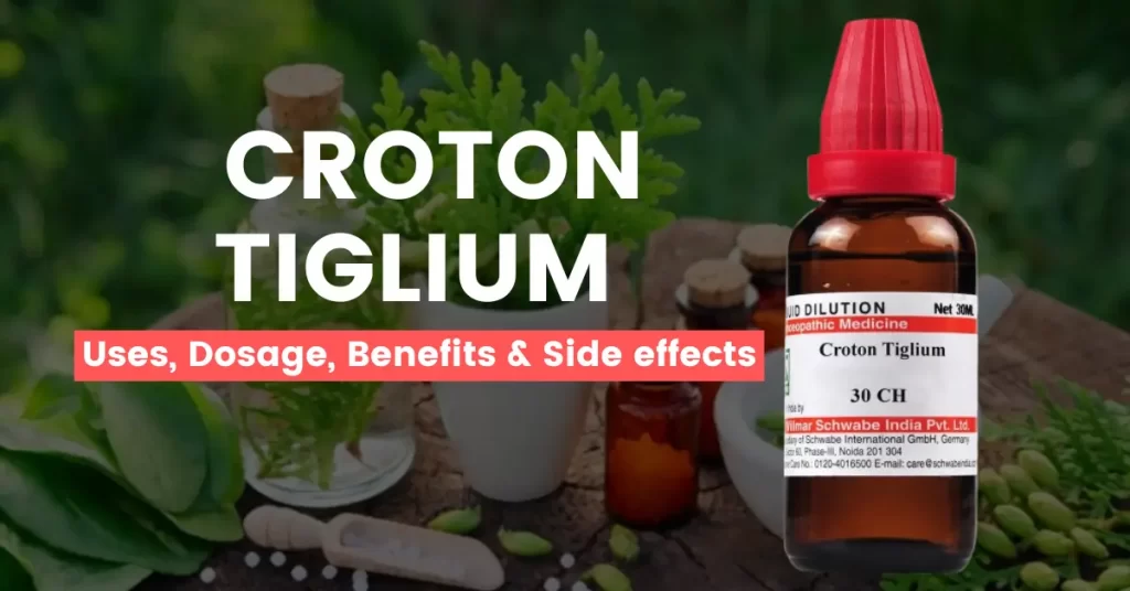 Croton Tiglium 30, 200, 1M - Uses, Benefits and Side Effects