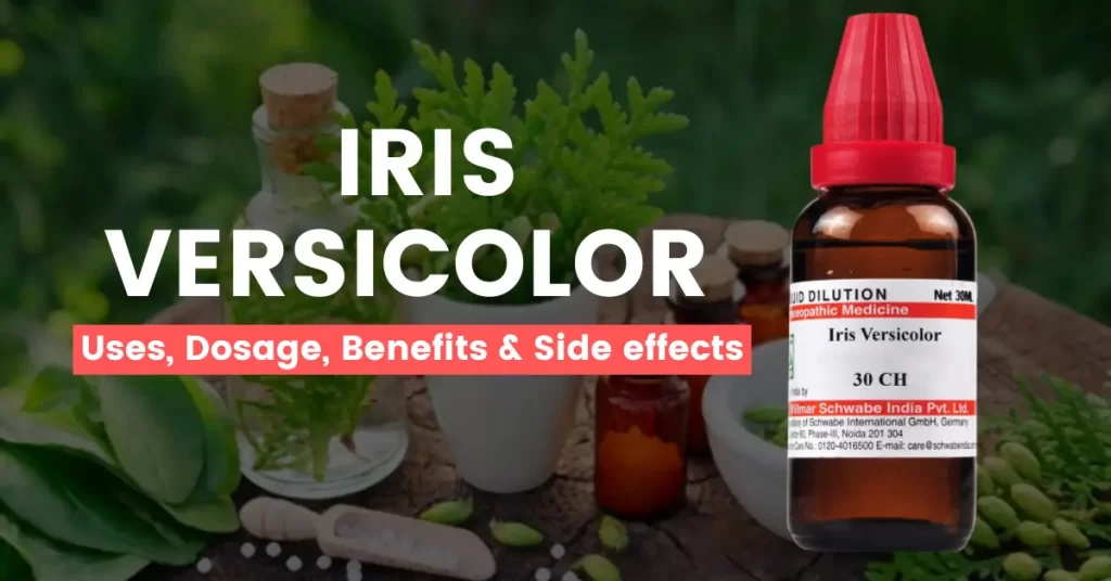 Iris Versicolor 30, 200, Q - Uses, Benefits and Side Effects