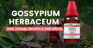 Gossypium Herbaceum 30, 200, Q – Uses, Benefits & Side Effects