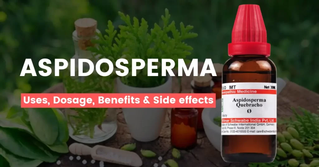 Aspidosperma 30, 200, 1M, Q - Uses, Benefits and Side Effects