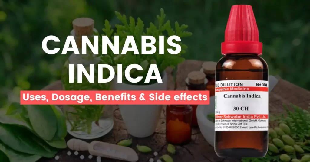 Cannabis Indica 30, 200, 1M, Q - Uses, Benefits and Side Effects