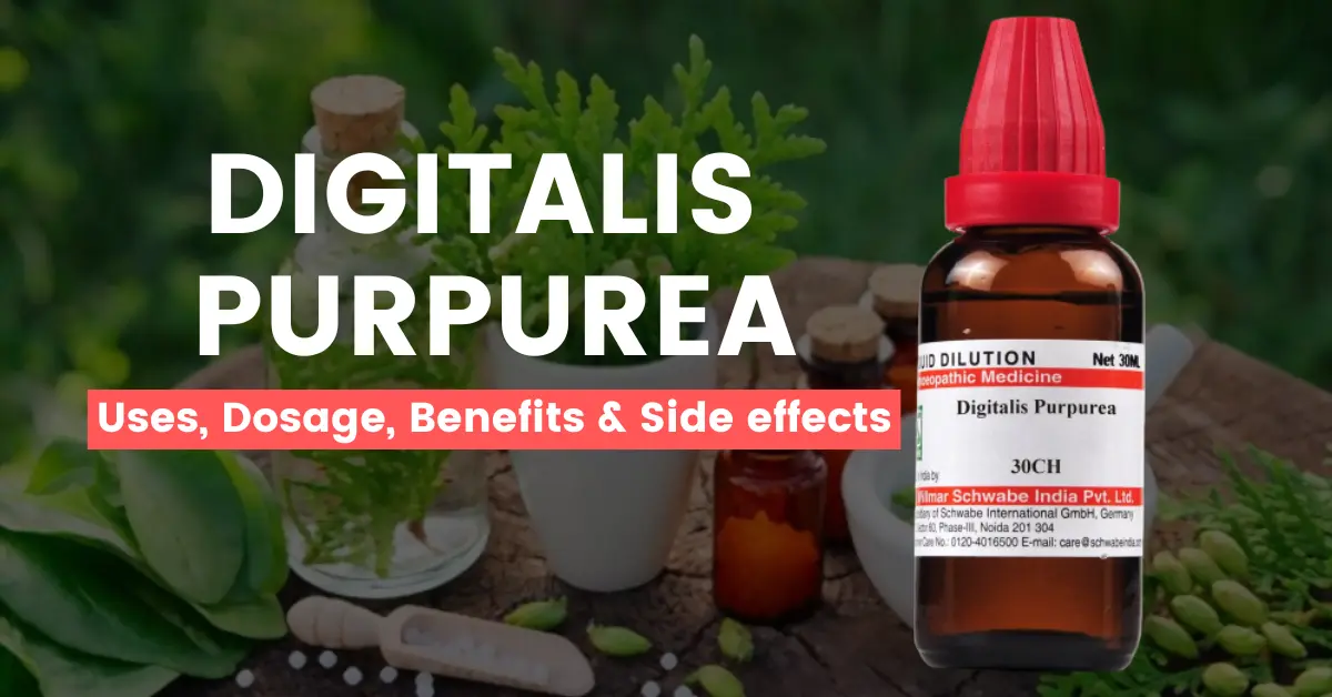 Digitalis Purpurea 30, 200, 1M, Q - Uses and Side Effects