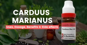 Carduus Marianus 30, 200, 1M – Uses, Benefits & Side Effects