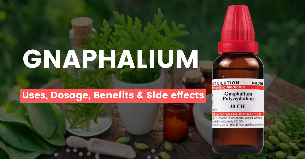 Gnaphalium 30, 200, 1M, Mother Tincture - Uses, Benefits Side Effects