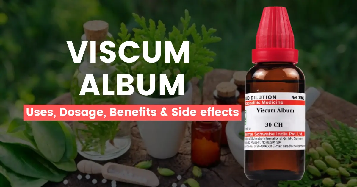 Viscum Album 30, 200, Q, 1M - Uses, Benefits and Side Effects
