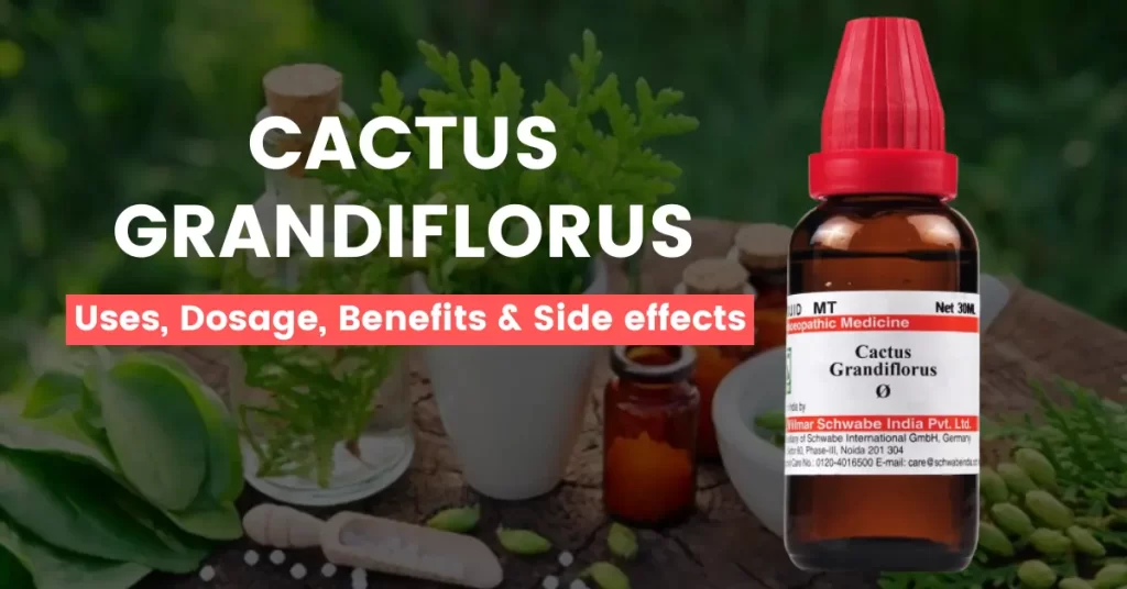 Cactus Grandiflorus 30, 200 - Uses, Benefits and Side Effects