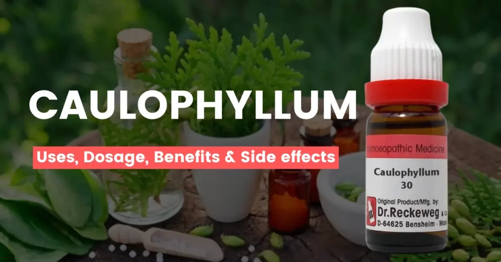 Caulophyllum 30, 200, 1M, Mother Tincture - Uses, Benefits Side Effects