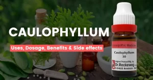 Caulophyllum 30, 200, 1M, Mother Tincture – Uses, Benefits & Side Effects