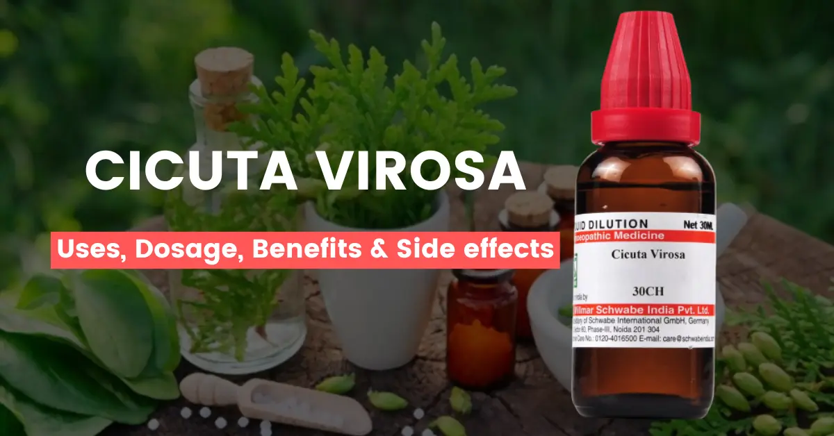 Cicuta Virosa 30, 200, Q - Uses, Benefits and Side Effects