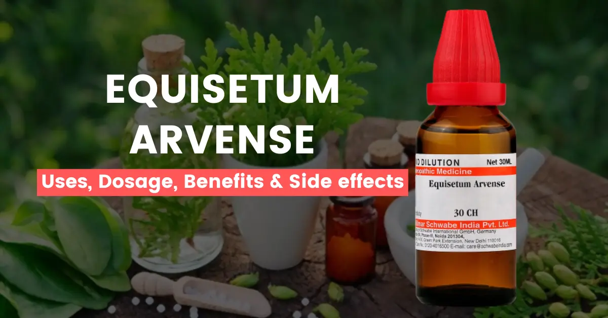 Equisetum Arvense 30, 200, Q - Uses, Benefits and Side Effects