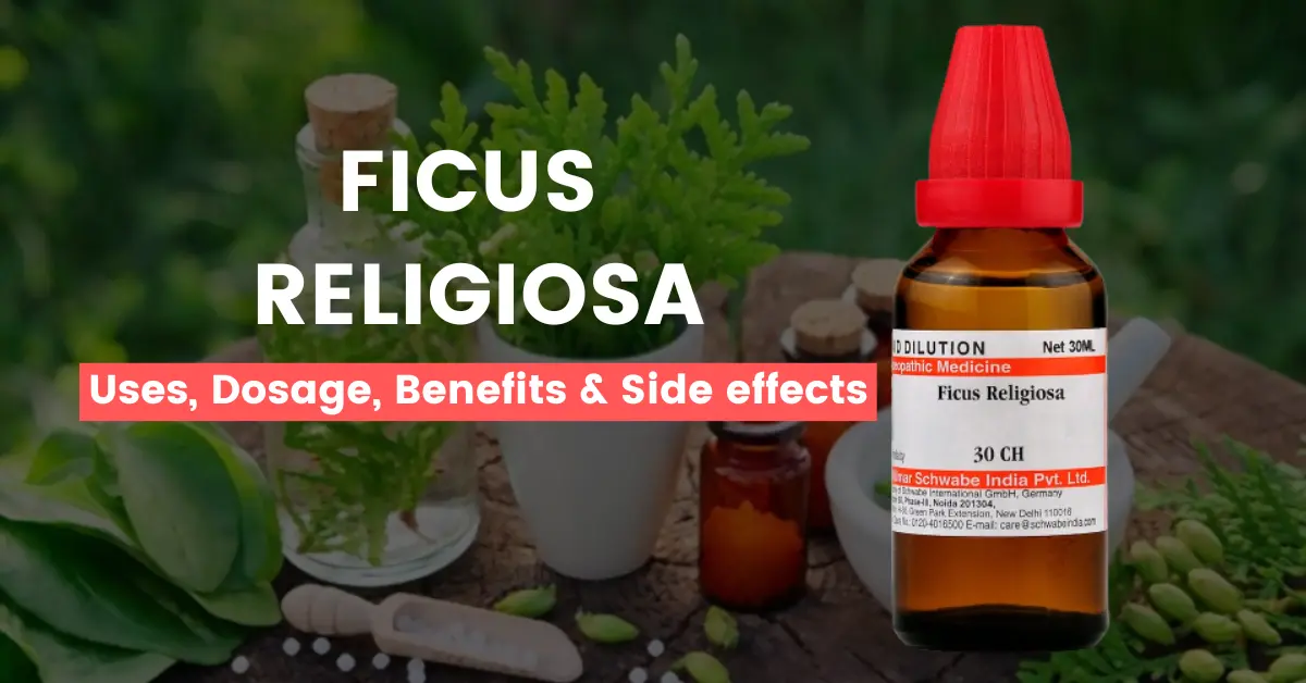 Ficus Religiosa 30, 200, Q - Uses, Benefits and Side Effects