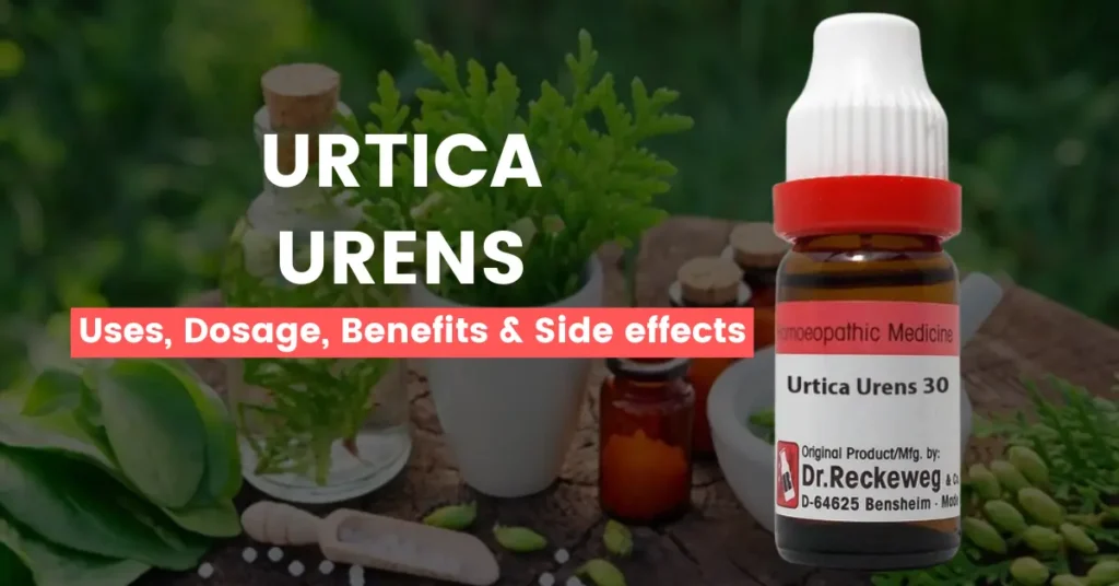 Urtica Urens 30, 200, 1M, Q- Uses, Benefits Side Effects