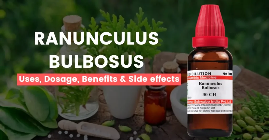 Ranunculus Bulbosus 30, 200, Q- Uses, Benefits and Side Effects
