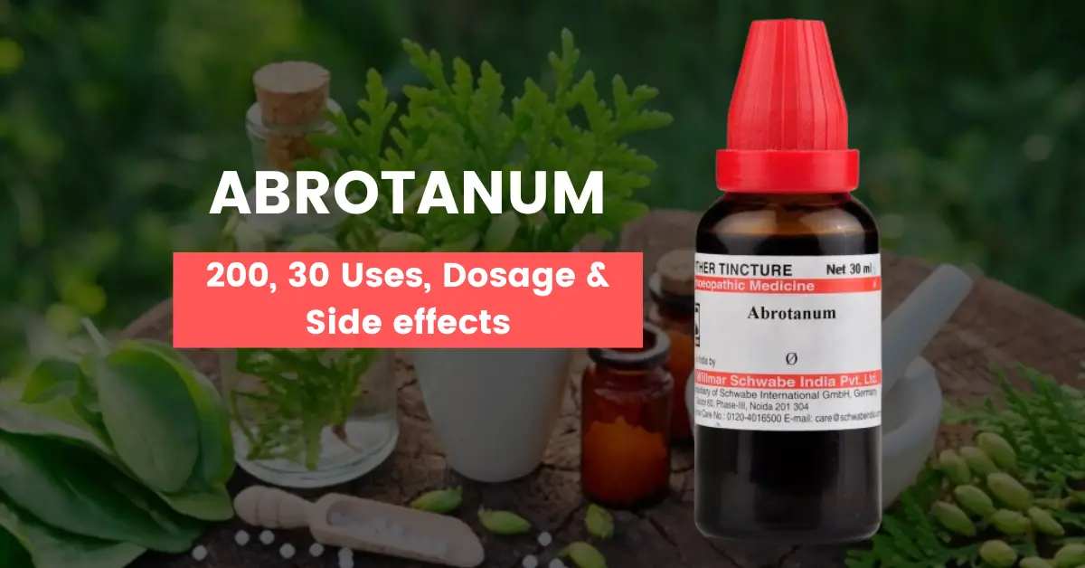 Artemisia Abrotanum 30, Abrotanum 200 Uses, Benefits