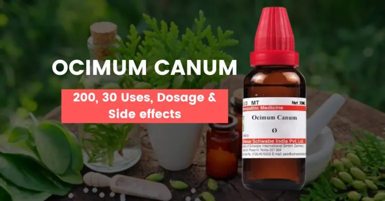 Ocimum Canum Q, Ocimum Canum 30, 200 Uses & Benefits