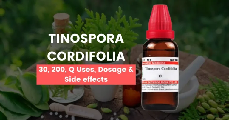 Tinospora Cordifolia Q Benefits, Uses and Side Effects