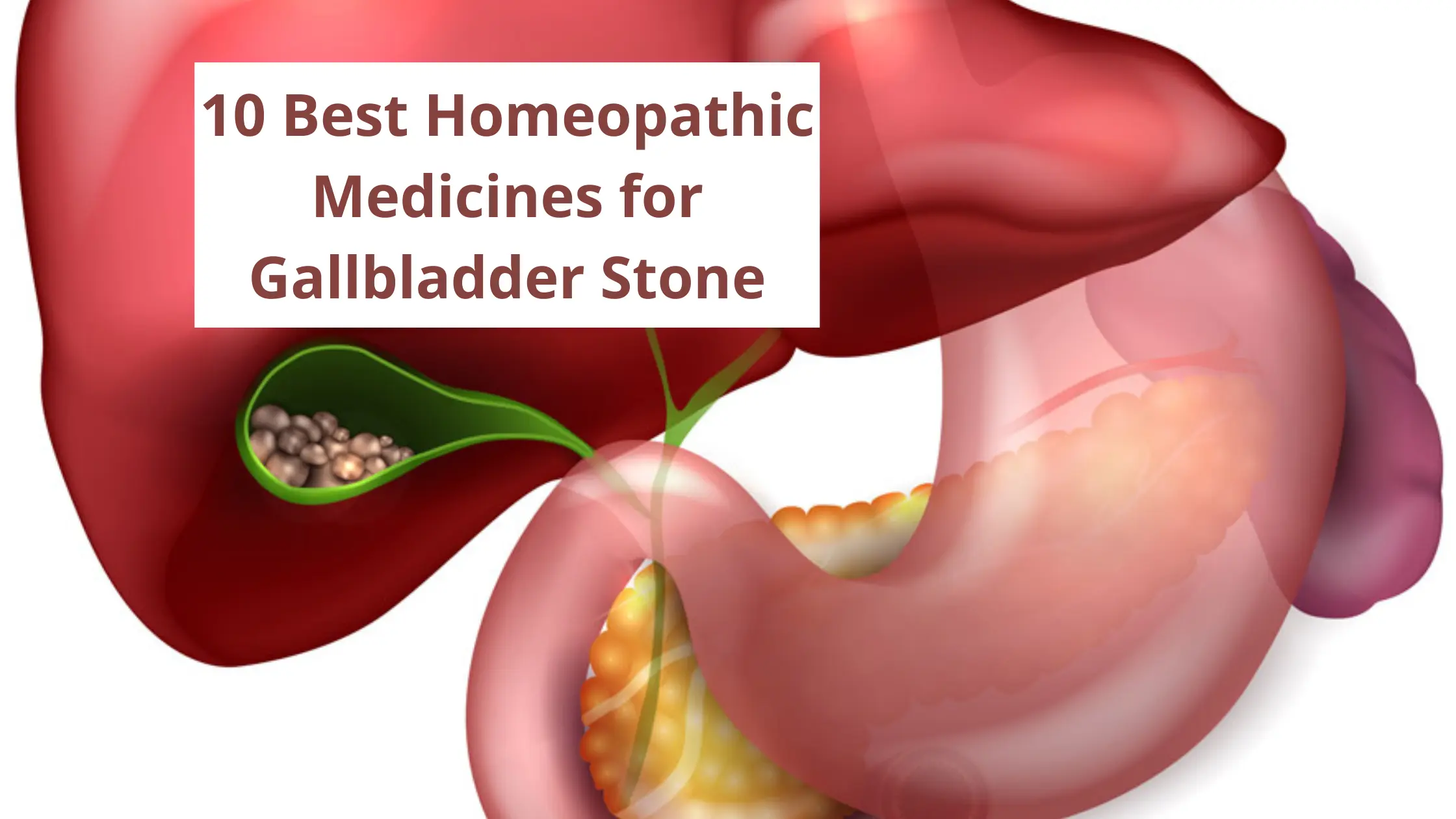 10 Best Homeopathic Medicine For Gallbladder Stone