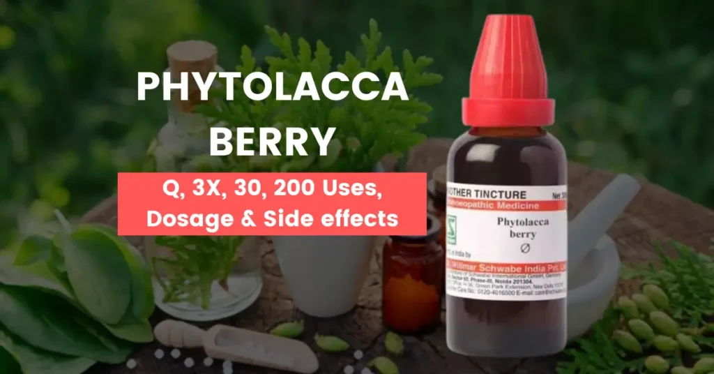 Phytolacca Berry 30, 3X, Mother Tincture Uses and Benefits