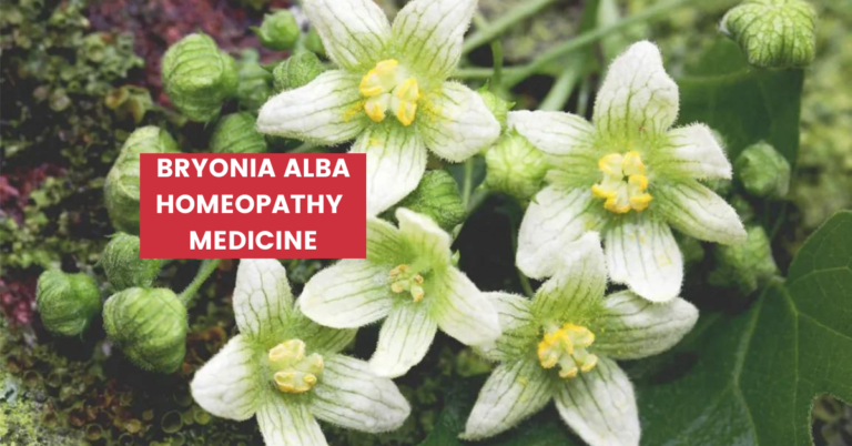 Bryonia Alba Uses, Dosage, Benefits & Side Effects