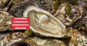 Calcarea Carbonica Uses, Benefits, Dosage & Side Effects