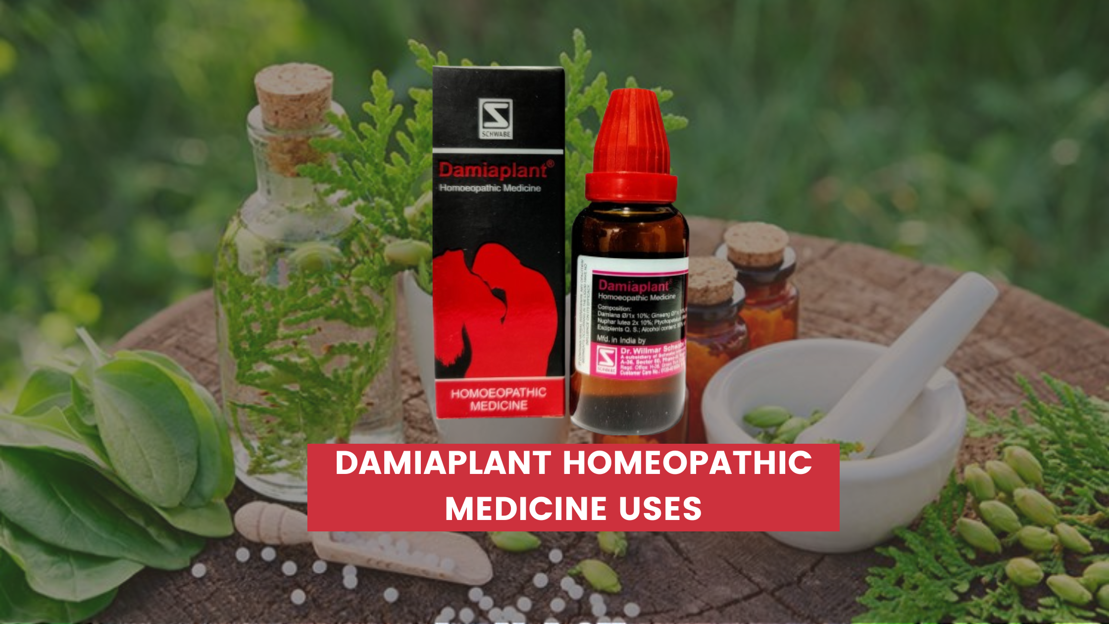 Damiaplant Homeopathic Medicine Uses In Hindi