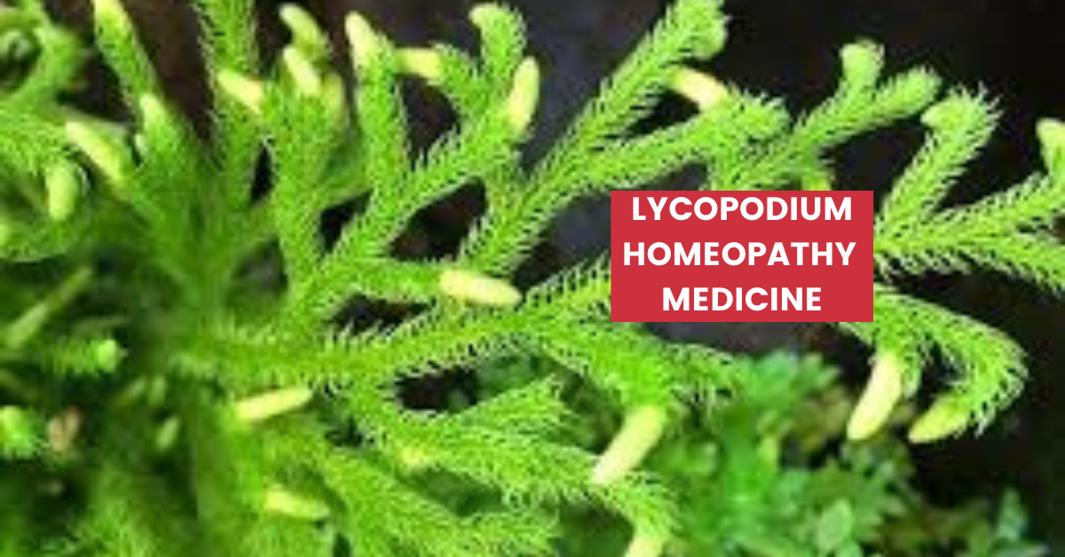 Lycopodium Clavatum Uses, Benefits, Dosage & Side Effects