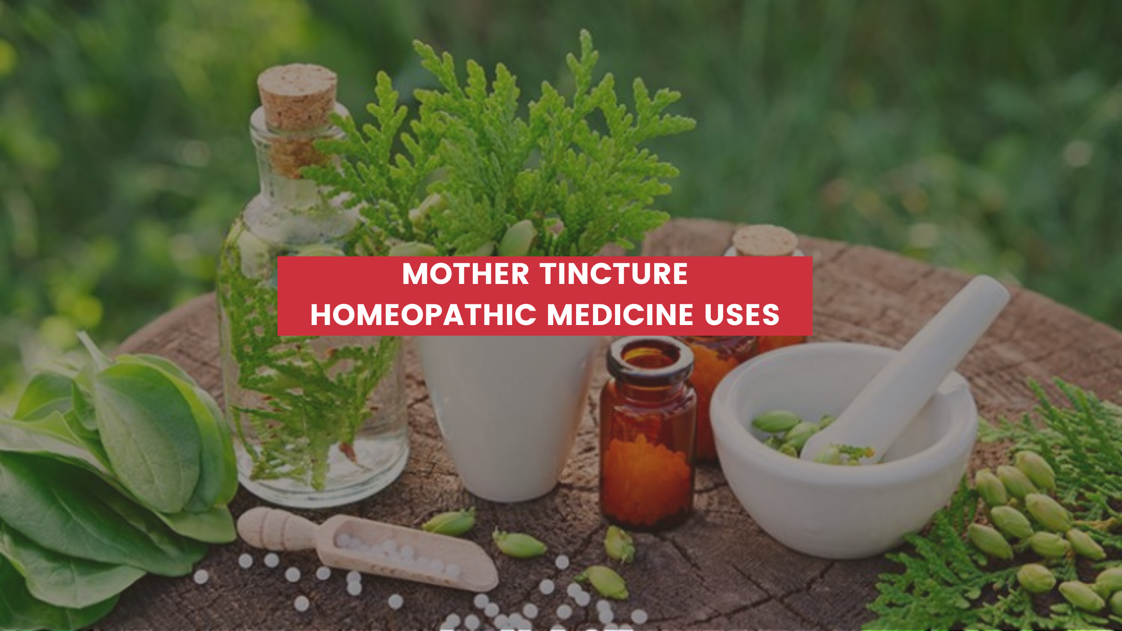 Mother Tincture Homeopathic Medicine Uses in Hindi