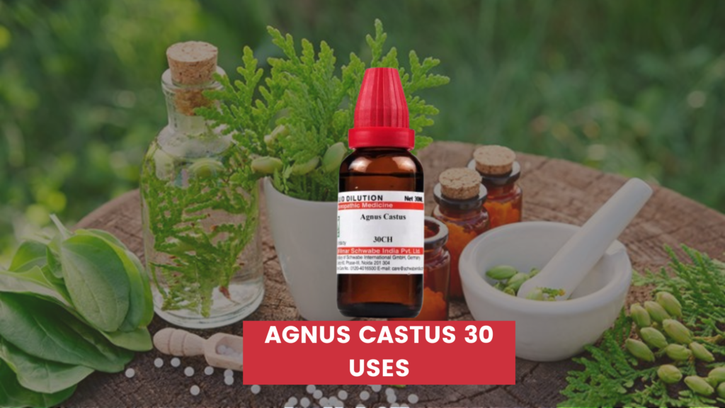 Agnus Castus 30 Uses In Hindi