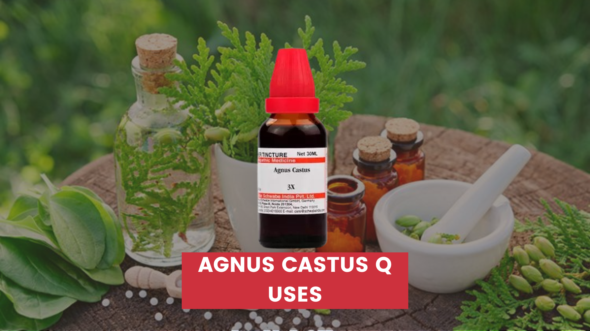 Agnus Castus Q Uses In Hindi