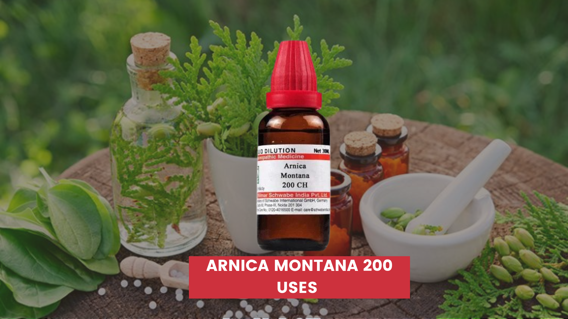 Arnica Montana 200 Uses In Hindi