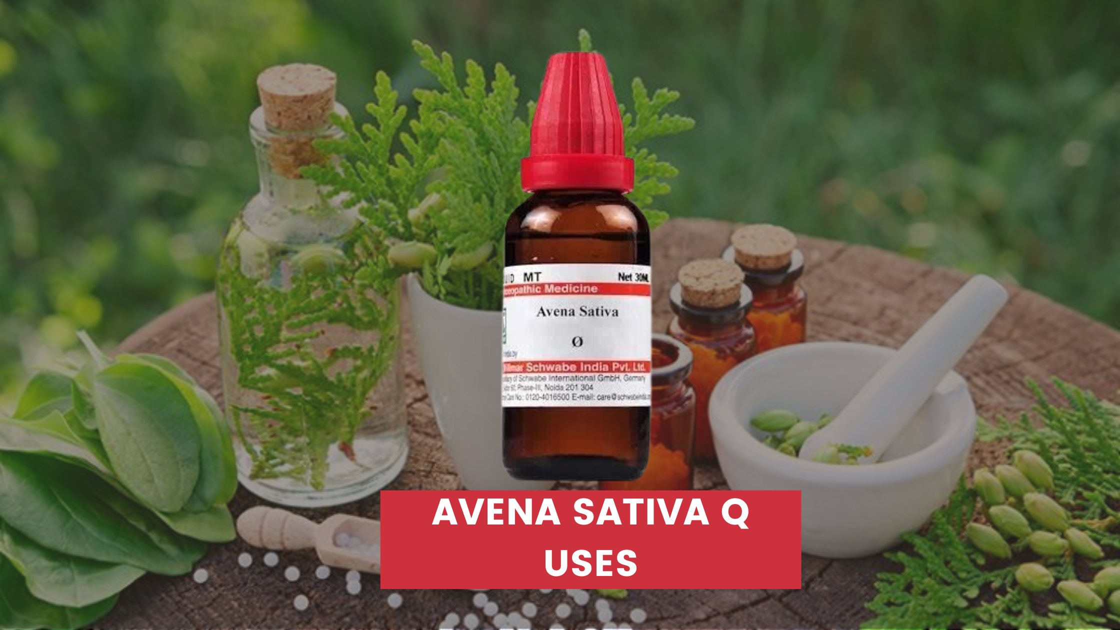 Avena Sativa Q Uses In Hindi