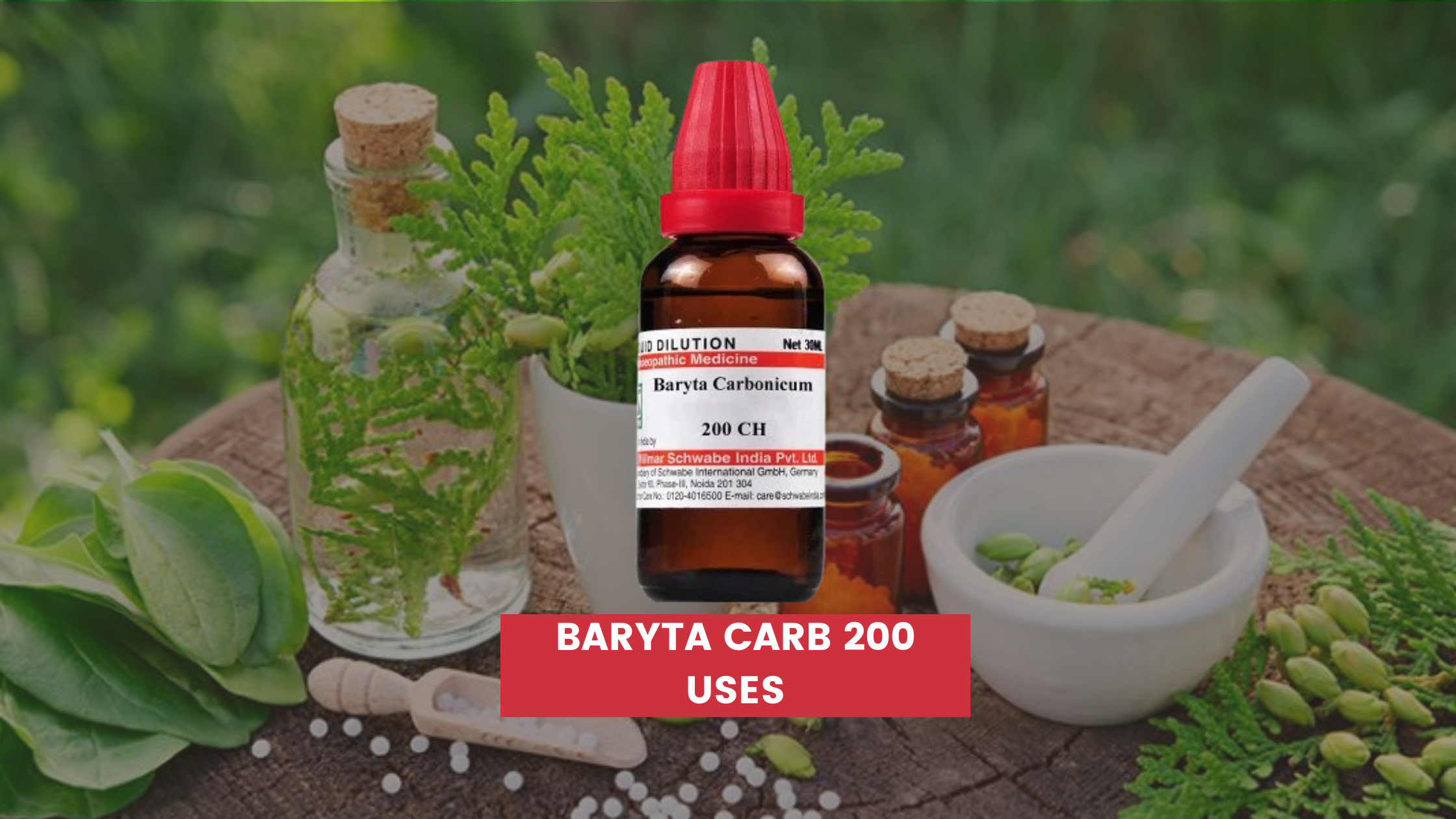 Baryta Carb 200 Uses In Hindi